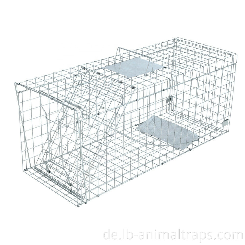 live animal box